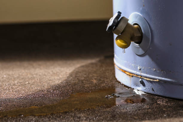 Best Mold removal after water damage  in Highlands Ranch, CO