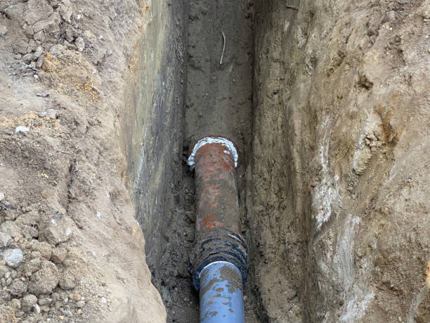 Best Flood restoration services  in Highlands Ranch, CO