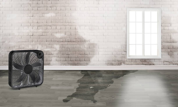 Best Fire Damage Restoration  in Highlands Ranch, CO