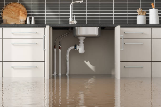 Best Local water damage restoration  in Highlands Ranch, CO