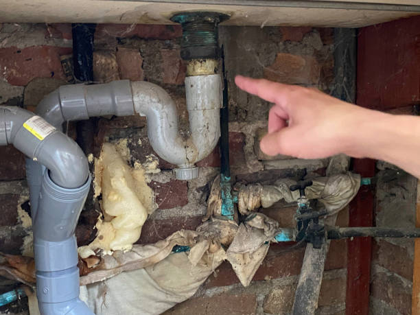 Best Residential water damage restoration  in Highlands Ranch, CO
