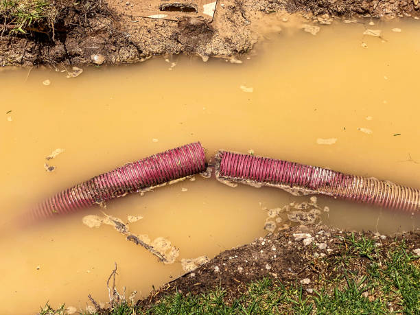 Best Professional water damage repair  in Highlands Ranch, CO